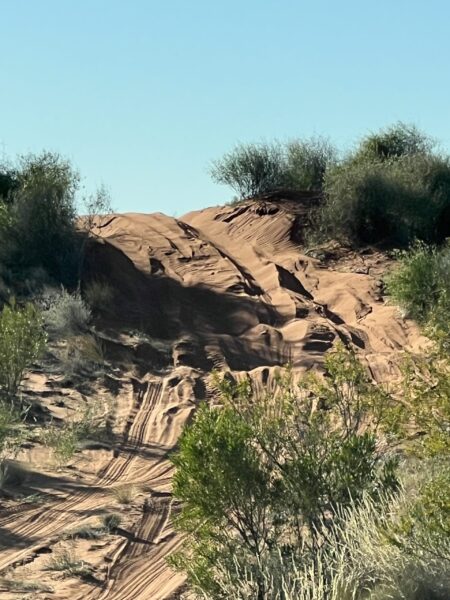 A chopped up dune along the one-way section of the Madigan Line